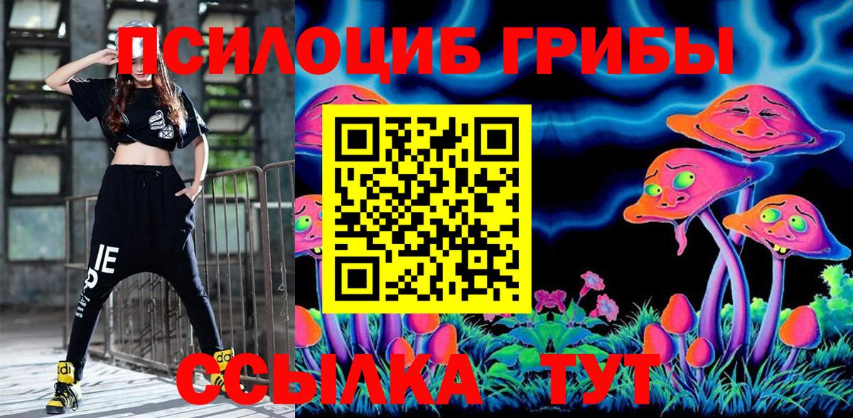 Вышний Волочёк  Галлюциногенные грибы Magic Shrooms  закладка  Вход с VPN 