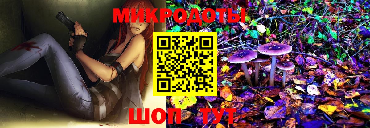 Галлюциногенные грибы Psilocybine cubensis Вышний Волочёк